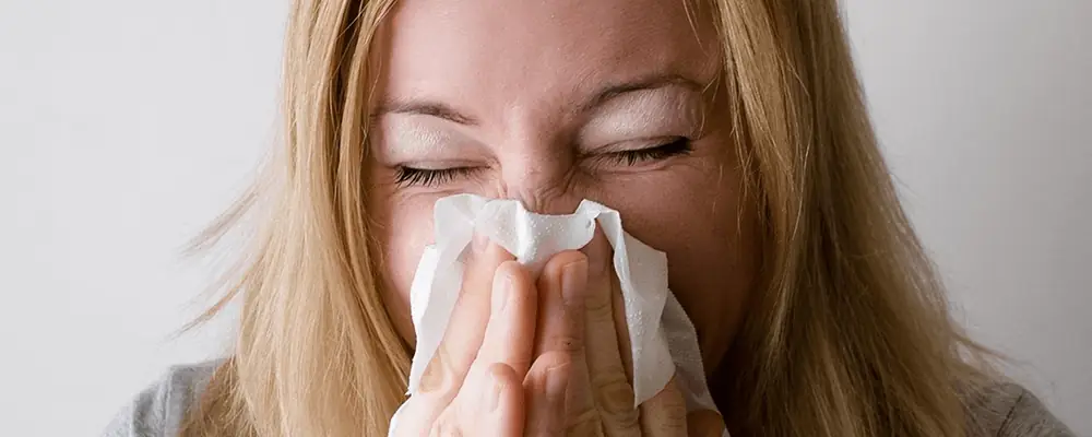 Seeking Allergy Relief Image